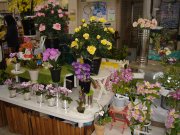 「東小島屋」　（静岡県磐田市）の花屋店舗写真2